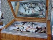 Click for large version